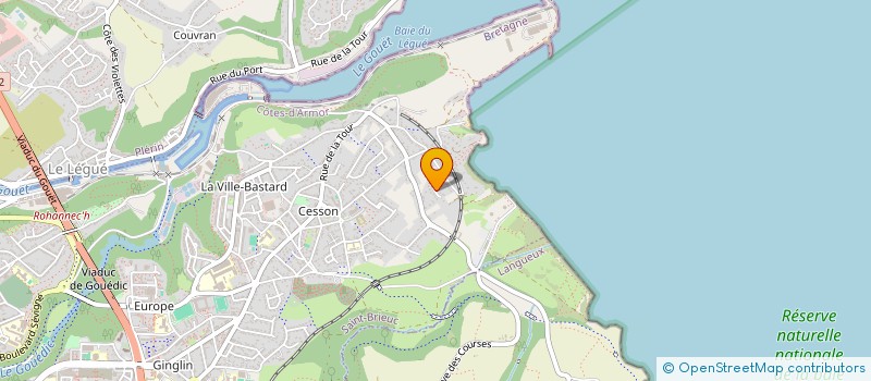 localisation de l'entreprise MADAME CAMILLE HENRIO à SAINT-BRIEUC