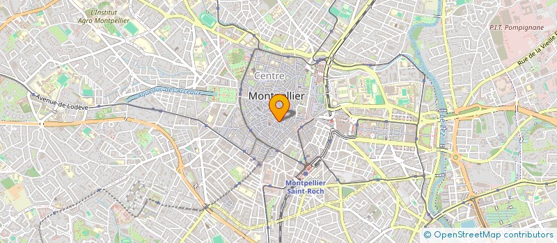 localisation de l'entreprise MADAME CAMILLE HEURTEBISE à MONTPELLIER
