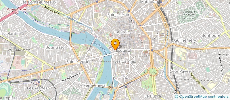 localisation de l'entreprise MADAME CAMILLE LANOS  TOULOUSE