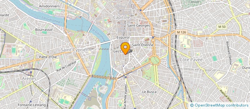 localisation de l'entreprise MADAME CAMILLE LAVAYSSIERE  TOULOUSE