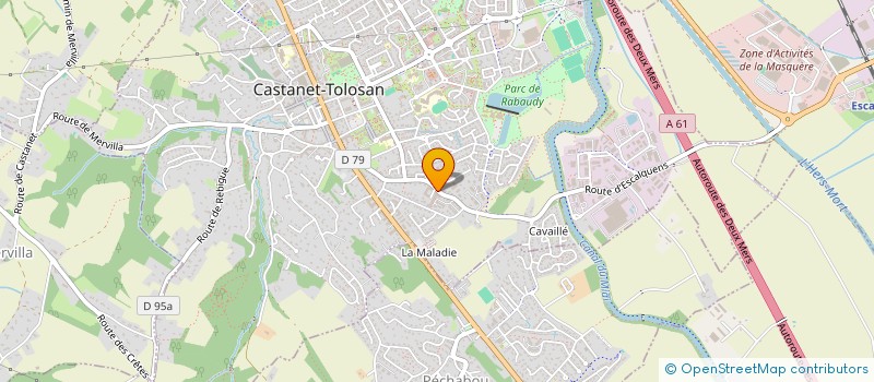 localisation de l'entreprise MADAME CAMILLE LE COZ  CASTANET-TOLOSAN