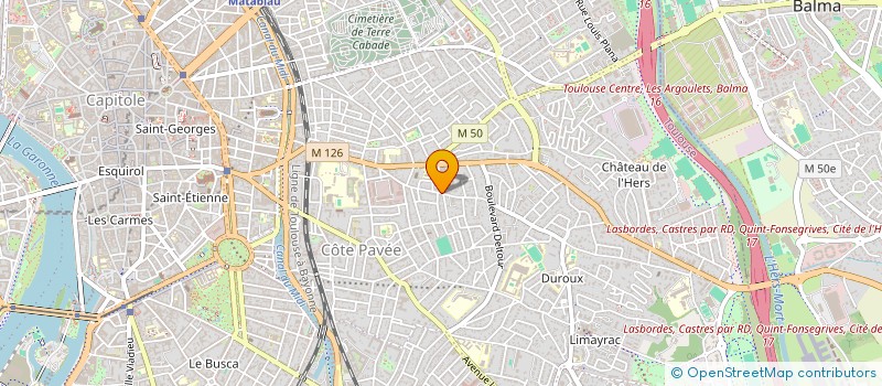 localisation de l'entreprise MADAME CAMILLE LE GOFF  TOULOUSE