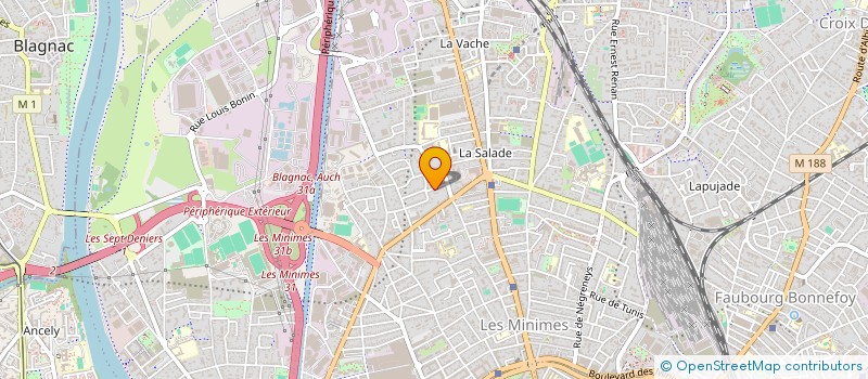 localisation de l'entreprise MADAME CAMILLE LE RICOUSSE  TOULOUSE