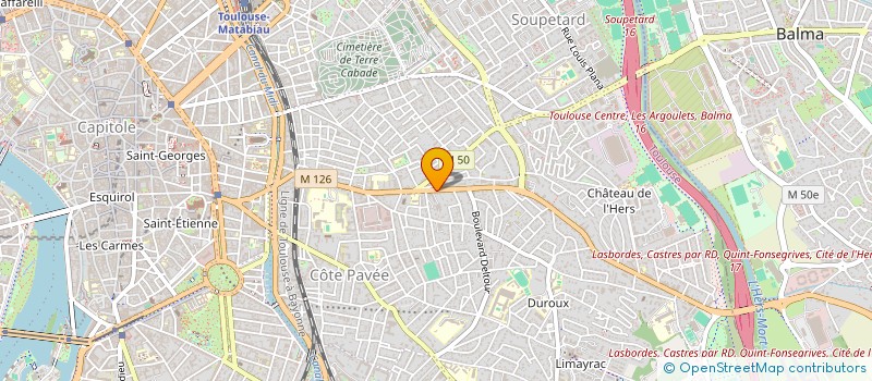 localisation de l'entreprise MADAME CAMILLE LE STRADIC à TOULOUSE