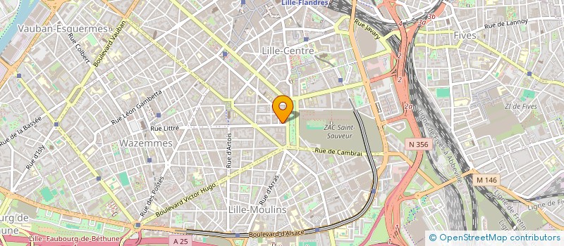 localisation de l'entreprise MADAME CAMILLE LECAUX  LILLE