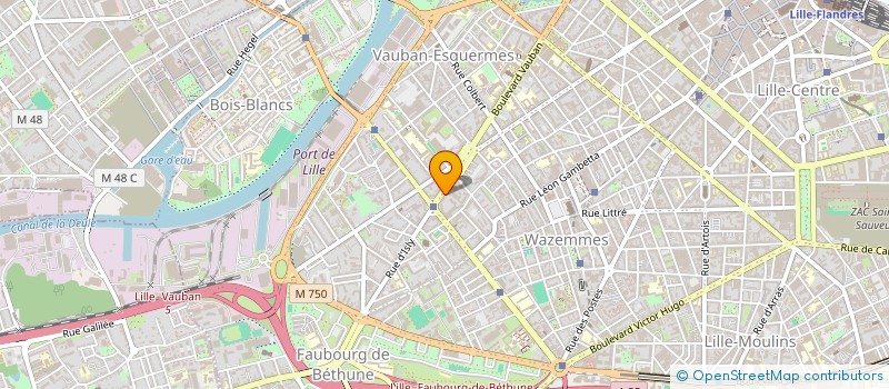 localisation de l'entreprise MADAME CAMILLE LEGLEYE à LILLE