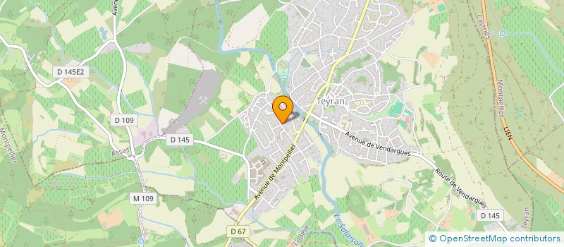 localisation de l'entreprise MADAME CAMILLE LEVINET  TEYRAN