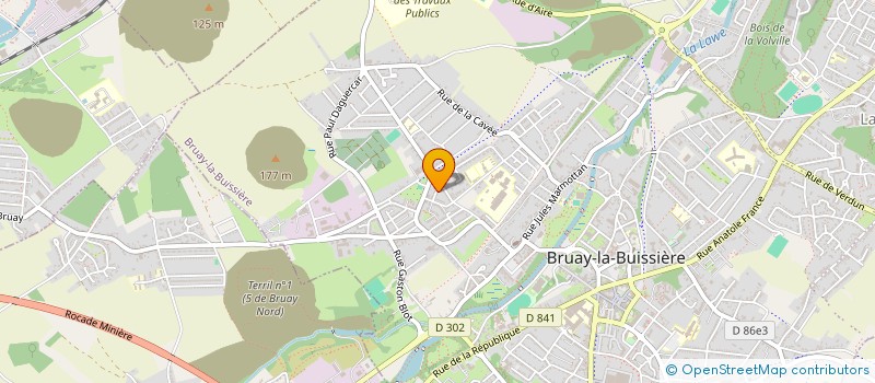 localisation de l'entreprise MADAME CAMILLE LIGNIER  BRUAY-LA-BUISSIERE