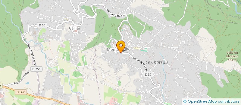 localisation de l'entreprise MADAME CAMILLE LOPES  MONTAUROUX