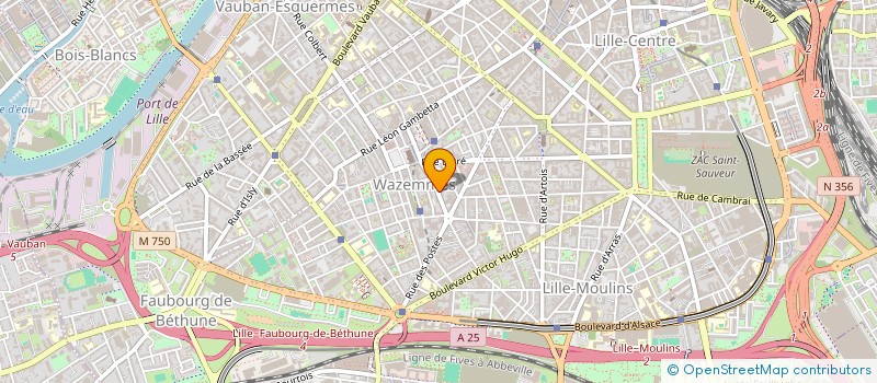 localisation de l'entreprise MADAME CAMILLE LOURDEAU  LILLE