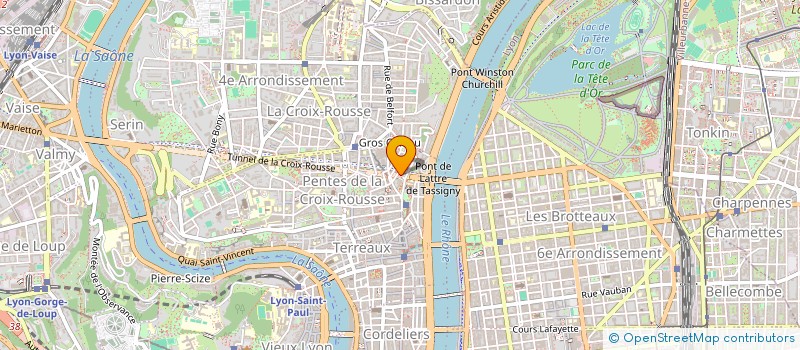 localisation de l'entreprise MADAME CAMILLE MANSOUR à LYON