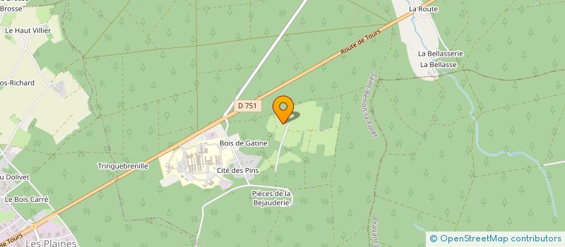 localisation de l'entreprise MADAME CAMILLE MARTIN  SAINT-BENOIT-LA-FORET