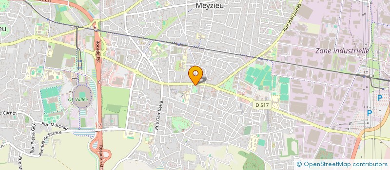 localisation de l'entreprise MADAME CAMILLE MONGET  LYON