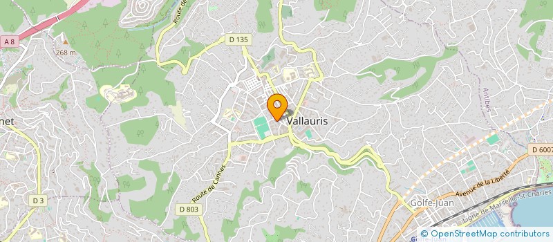 localisation de l'entreprise MADAME CAMILLE NOIROT à VALLAURIS