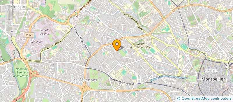 localisation de l'entreprise MADAME CAMILLE NOUGUIER à MONTPELLIER