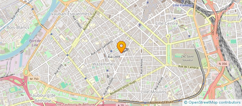 localisation de l'entreprise MADAME CAMILLE PINGEOT à LILLE