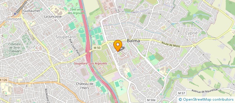 localisation de l'entreprise MADAME CAMILLE PLOUZEN  BALMA