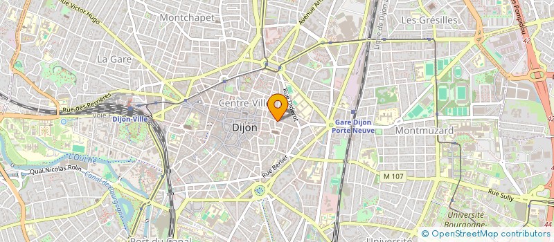 localisation de l'entreprise MADAME CAMILLE PROST  DIJON