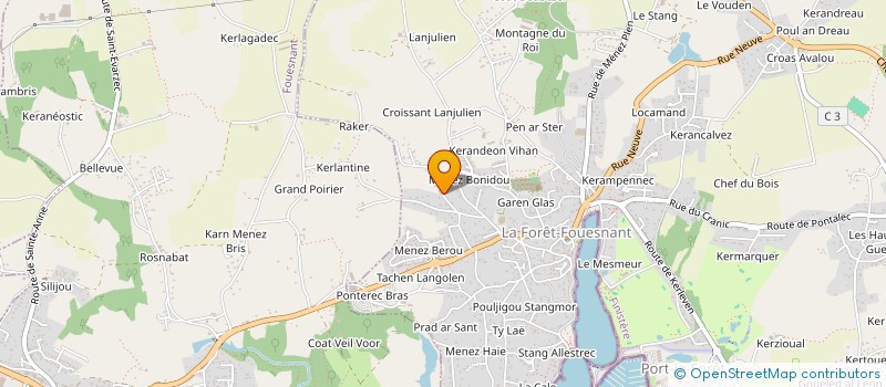 localisation de l'entreprise MADAME CAMILLE RADICCHI  LA FORET-FOUESNANT