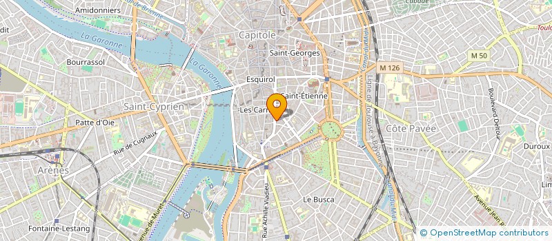 localisation de l'entreprise MADAME CAMILLE RICHARD  TOULOUSE