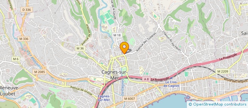 localisation de l'entreprise MADAME CAMILLE RIGAUD  CAGNES-SUR-MER
