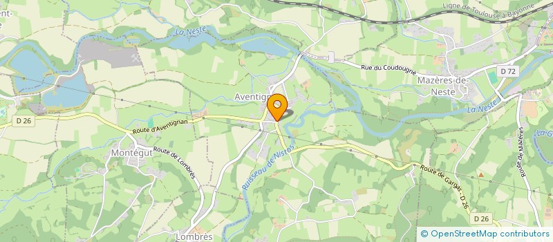 localisation de l'entreprise MADAME CAMILLE RIVIERE  SAINT-LAURENT-DE-NESTE