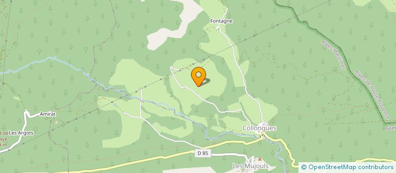 localisation de l'entreprise MADAME CAMILLE RONCALI  COLLONGUES