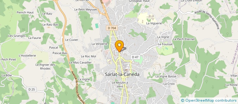 localisation de l'entreprise MADAME CAMILLE SALVIGNOL à SARLAT-LA-CANEDA