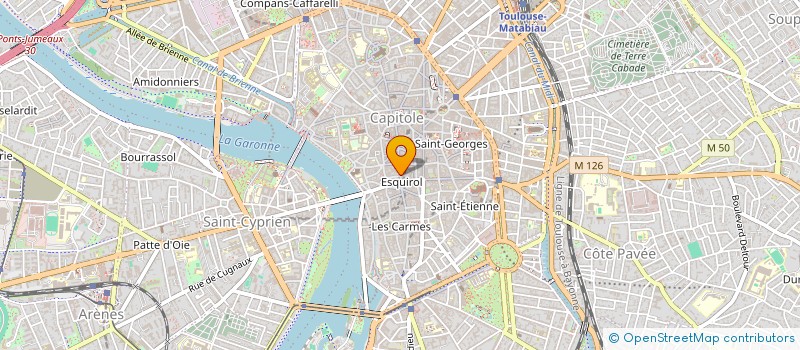 localisation de l'entreprise MADAME CAMILLE SANSONETTI à TOULOUSE