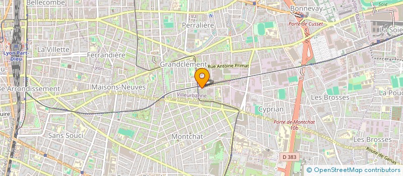 localisation de l'entreprise MADAME CAMILLE TESSIER  VILLEURBANNE