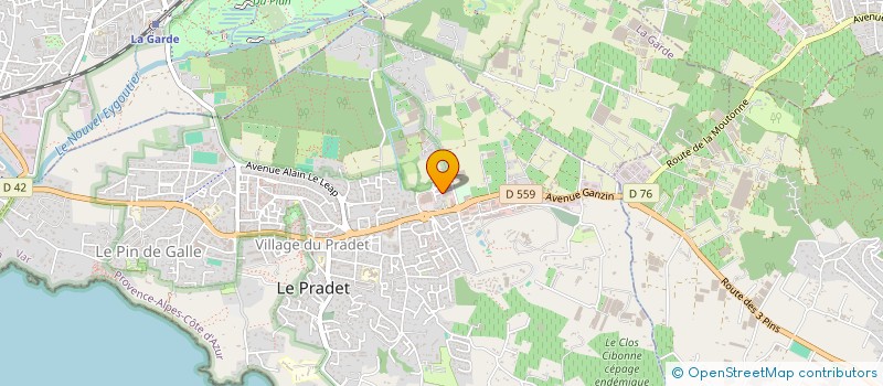 localisation de l'entreprise MADAME CAMILLE TETAUD à LE PRADET