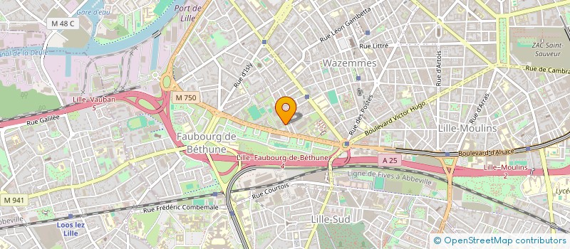 localisation de l'entreprise MADAME CAMILLE THERY à LILLE