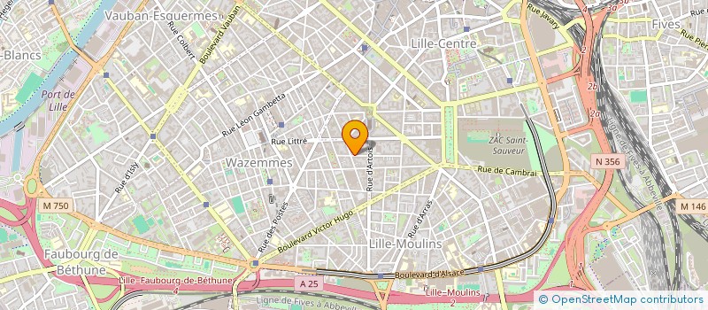 localisation de l'entreprise MADAME CAMILLE THIS à LILLE
