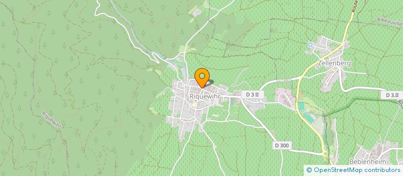 localisation de l'entreprise MADAME CAMILLE TROESCH  RIQUEWIHR