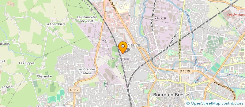 localisation de l'entreprise MADAME CAMILLE TURCHET à VIRIAT