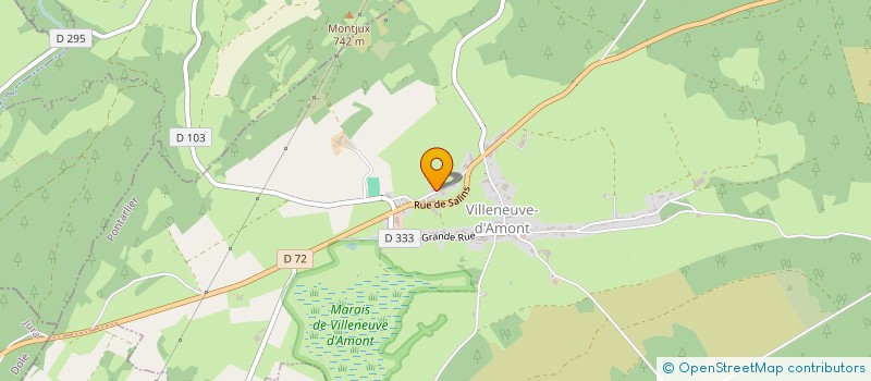 localisation de l'entreprise MADAME CAMILLE UTERS  MOIRANS-EN-MONTAGNE