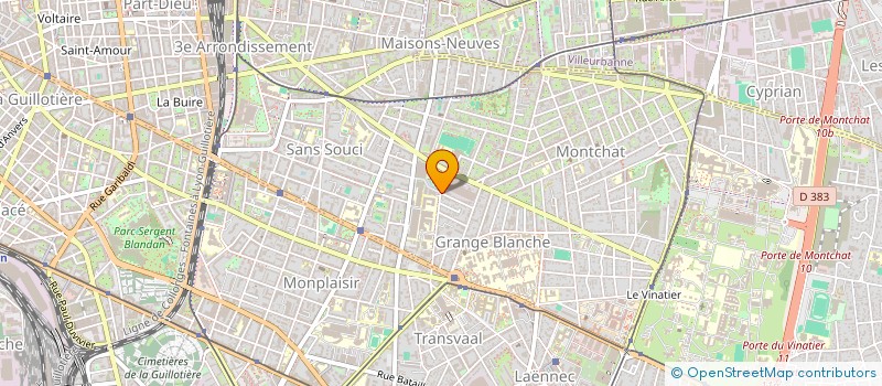 localisation de l'entreprise MADAME CAMILLE VIGLIANO  LYON