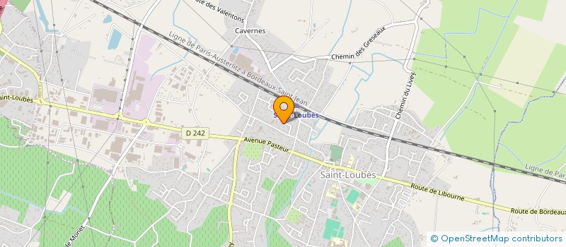 localisation de l'entreprise MADAME CAMILLE VONTHRON  CARBON-BLANC