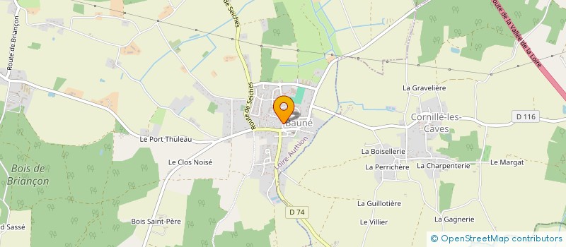 localisation de l'entreprise MADAME CANDY SZLEK  LOIRE-AUTHION