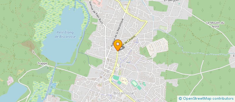 localisation de l'entreprise MADAME CANELLE GILLOT  BISCARROSSE