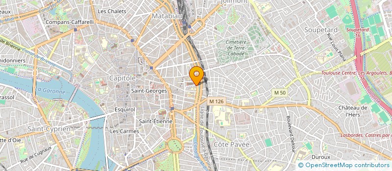 localisation de l'entreprise MADAME CAPUCINE DUPHOT  TOULOUSE