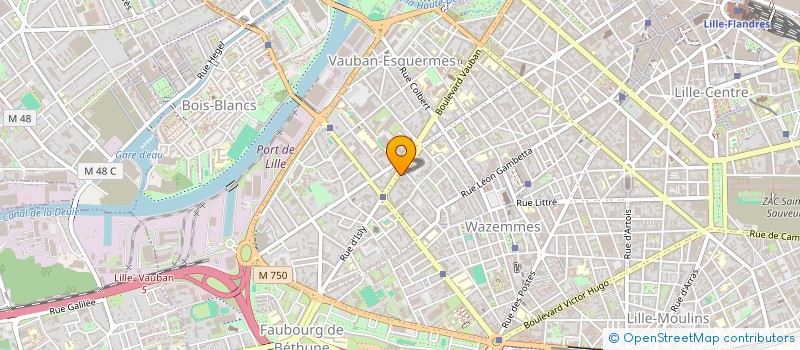 localisation de l'entreprise MADAME CAPUCINE PICARD à LILLE
