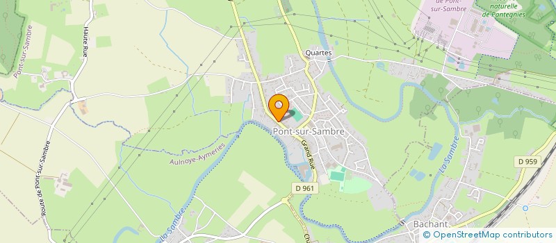 localisation de l'entreprise MADAME CARINA-CELINE RIBEIRO E SILVA  PONT-SUR-SAMBRE