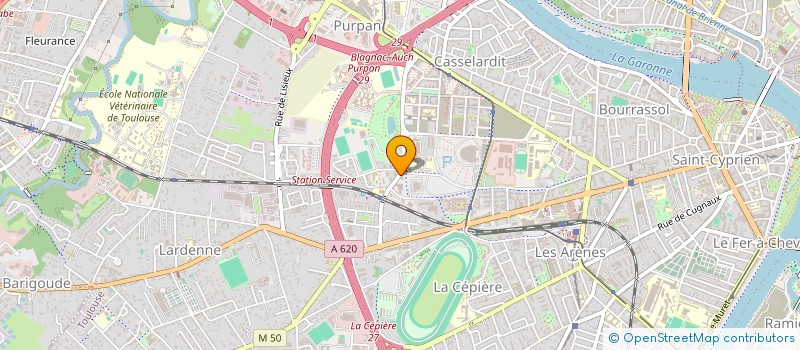 localisation de l'entreprise MADAME CARINA DEPYE à TOULOUSE