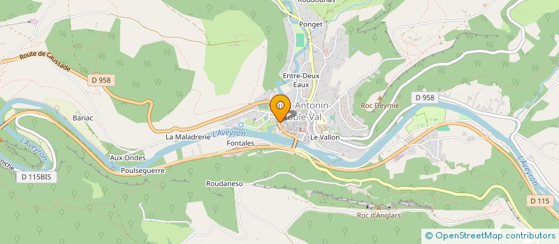 localisation de l'entreprise MADAME CARINE ANSELME  SAINT-ANTONIN-NOBLE-VAL