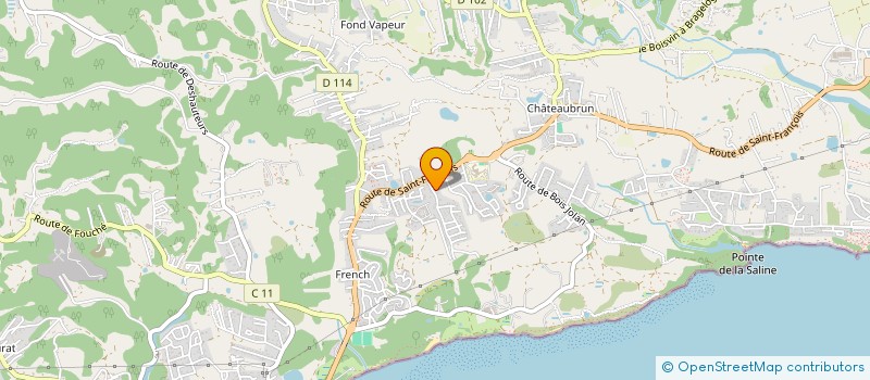 localisation de l'entreprise MADAME CARINE BALLAGNY  SAINTE-ANNE