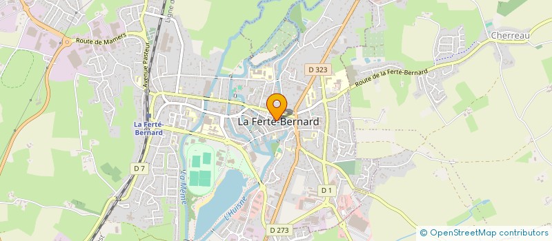 localisation de l'entreprise MADAME CARINE BOURGOUIN à LA FERTE-BERNARD