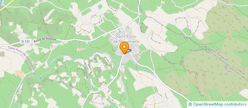 localisation de l'entreprise MADAME CARINE BOURNY  SAINT-PONS-DE-MAUCHIENS