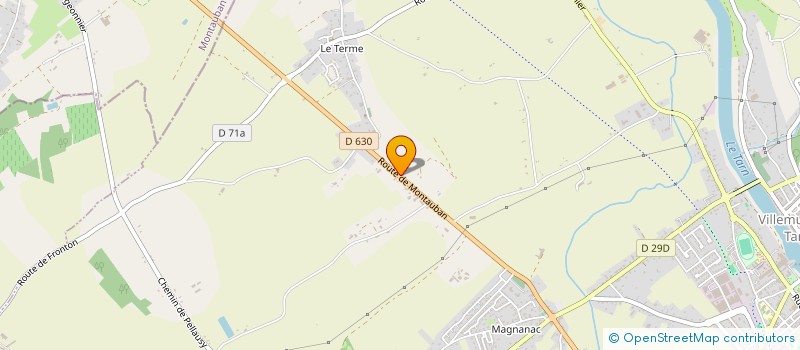 localisation de l'entreprise MADAME CARINE BRINGUIER  VILLEMUR-SUR-TARN