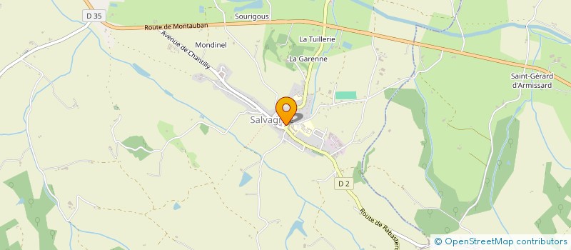 localisation de l'entreprise MADAME CARINE CARALP  SALVAGNAC